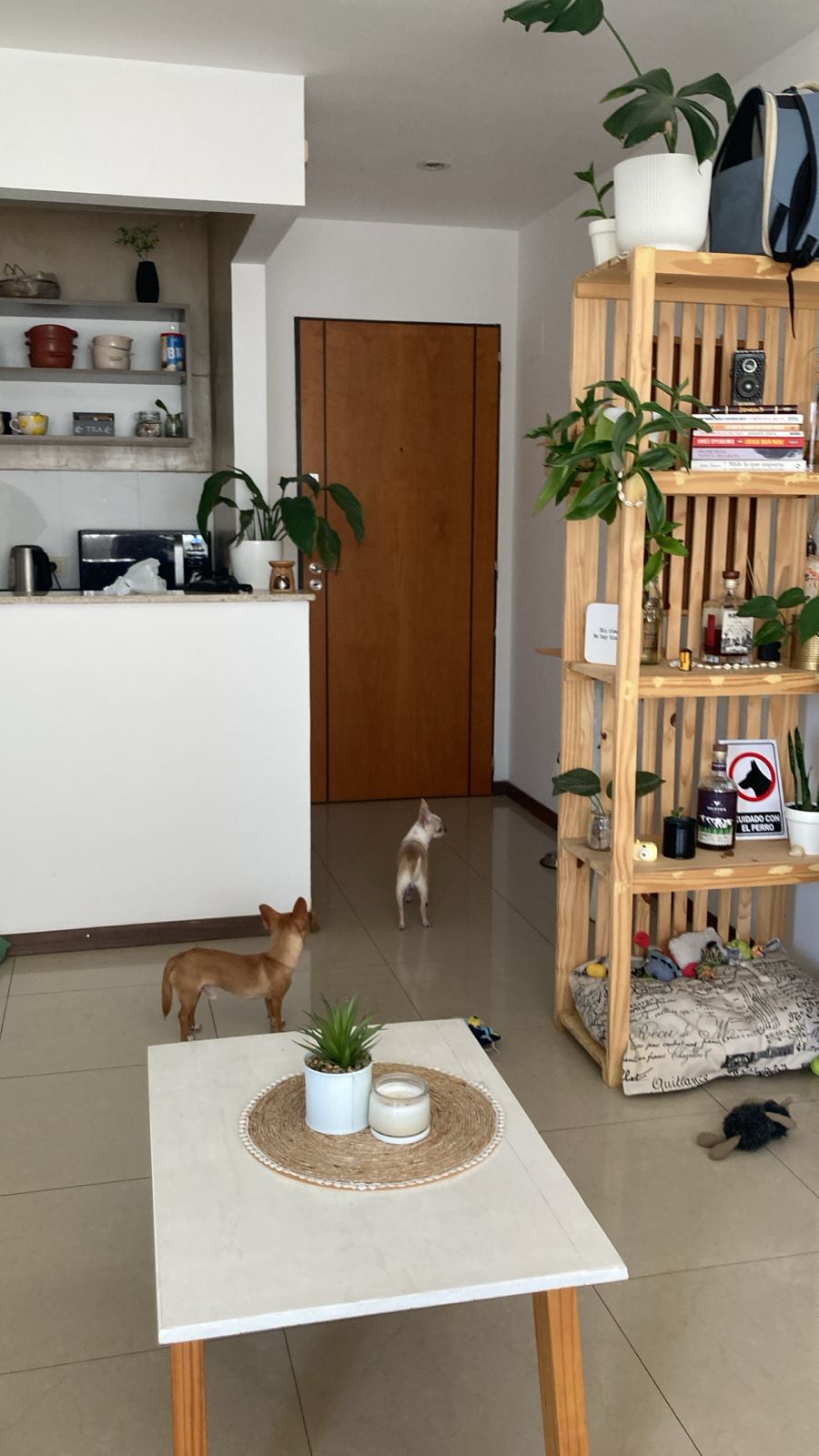 Romeo y Lorenzo esperando ansiosos la llegada de Belen a casa